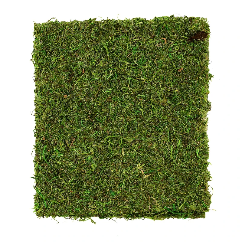 Moss Mat by Ashland®