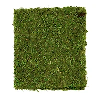 Moss Mat by Ashland®
