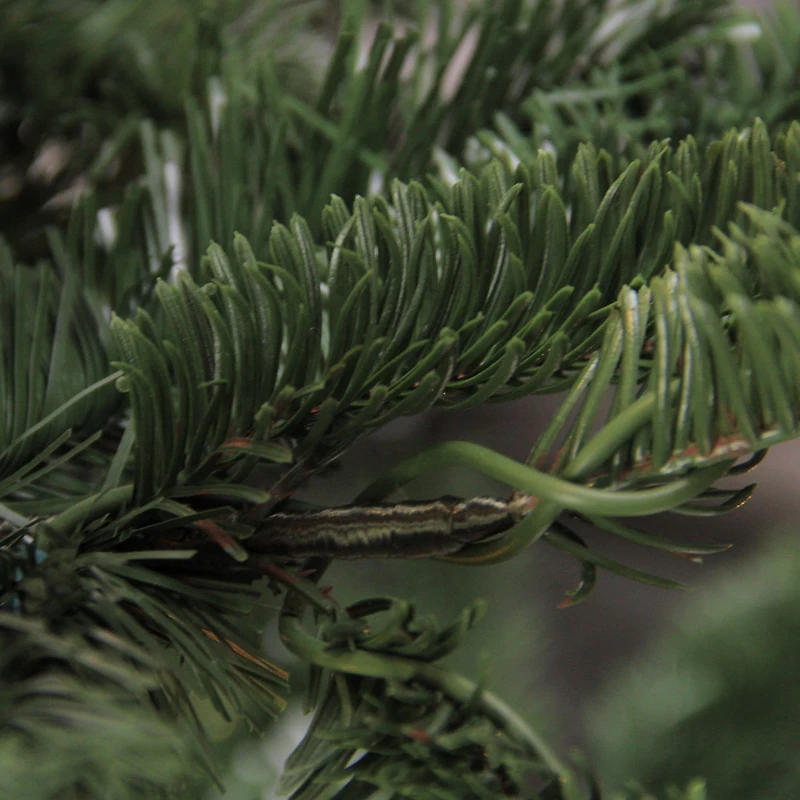 6.5ft. Unlit Real Touch™️ Layered Nordmann Fir Artificial Christmas Tree