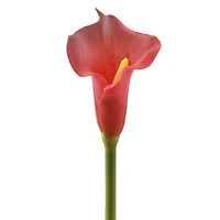 DII® Red Flower Cala Lily Set, 3ct.