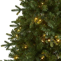 6ft. Pre-Lit Vermont Fir Artificial Christmas Tree with Clear LED Lights