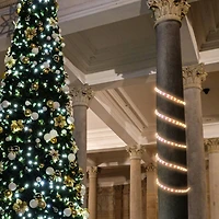 Incandescent Christmas Rope Lights - 18' - Clear