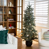 6ft. Pre-Lit Pine Artificial Christmas Tree in Black Decorative Planter with Warm White LED Lights