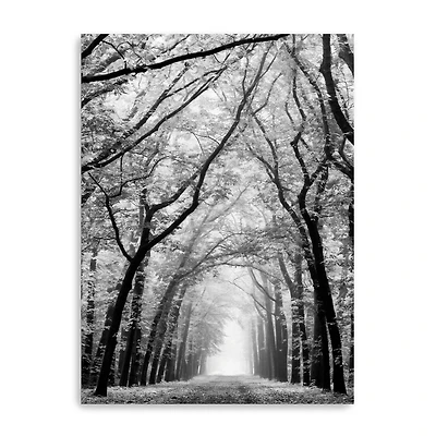 Cathedral Forest Canvas Giclee