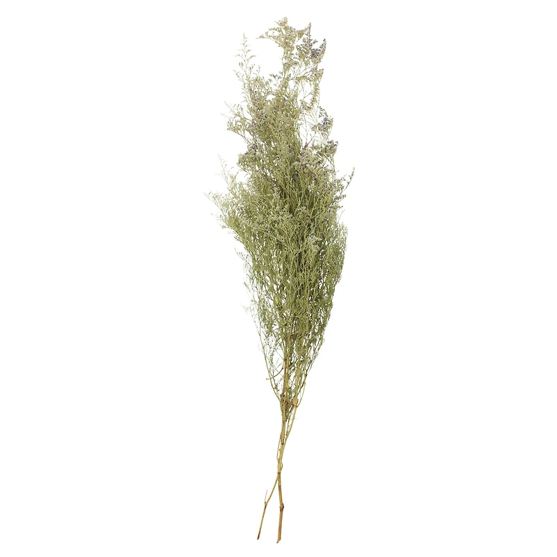 26" Natural Caspia Flowers by Ashland®