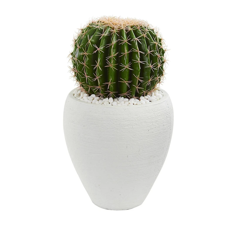 20" Cactus in White Planter
