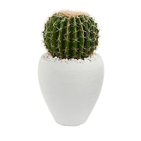 20" Cactus in White Planter