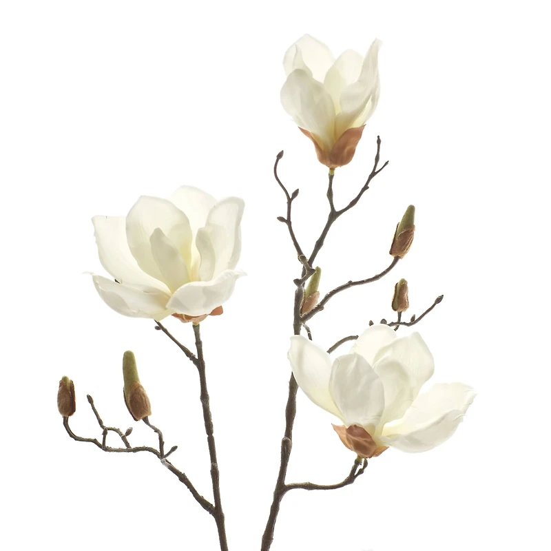 White Magnolia Branch Stem by Ashland®