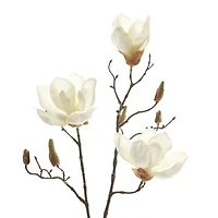 White Magnolia Branch Stem by Ashland®