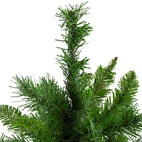 24" Unlit Mixed Kateson Fir Medium Artificial Christmas Tree