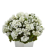 27" White UV Resistant Geranium Arrangement in White Planter