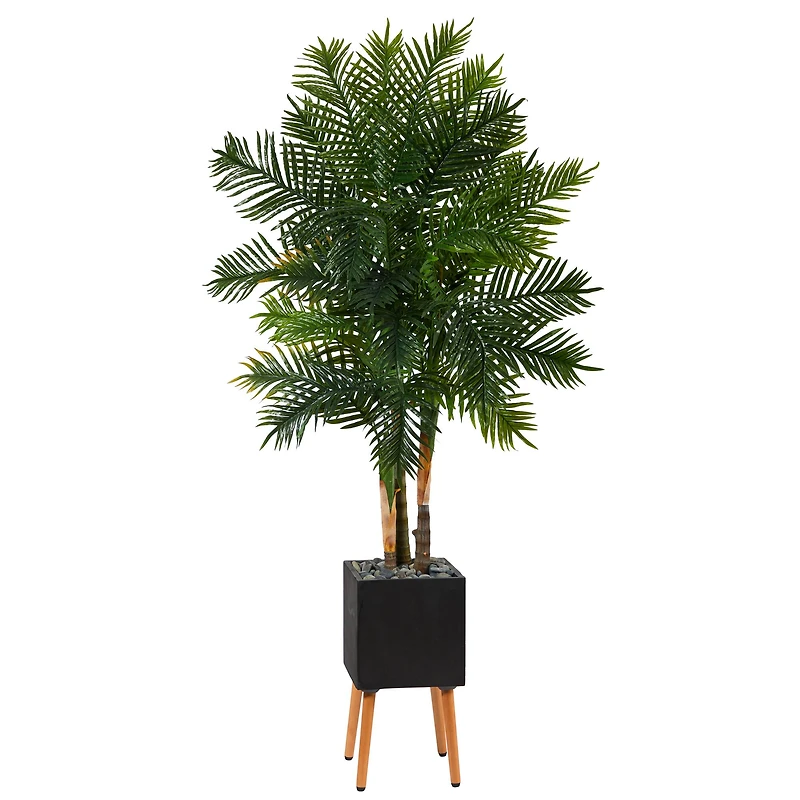 70" Areca Palm Tree in Black Planter with Stand