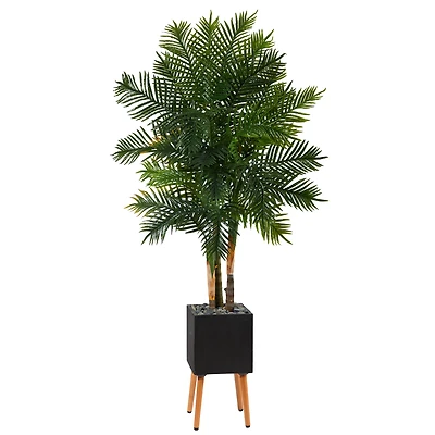 70" Areca Palm Tree in Black Planter with Stand