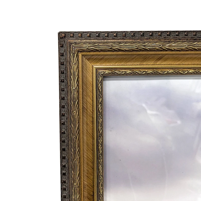 Home Gold Pompeii Wood Wall Frame by Studio Décor