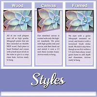 Stupell Industries Home Sweet Home Cotton Flowers in Vase Wall  Art in Black Frame