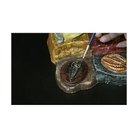 Wild Environmental Science - Wonders of the Earth