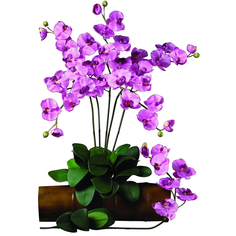 Purple Moth Orchid Stem, 12ct.