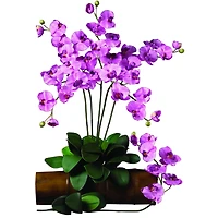 Purple Moth Orchid Stem, 12ct.