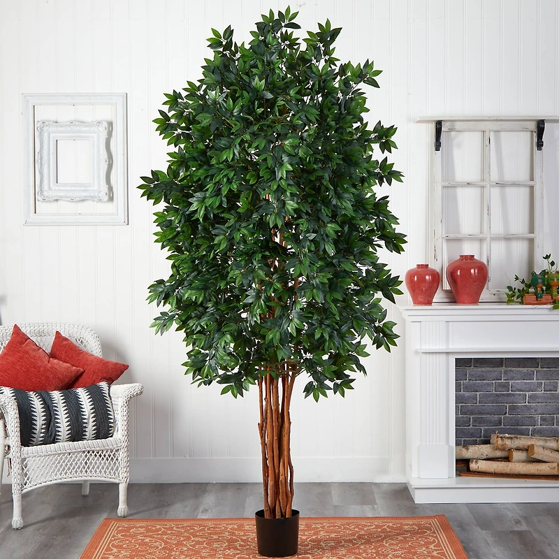 7.5ft. Potted Lychee Silk Tree