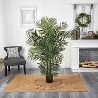 4.5ft. Potted Areca Palm
