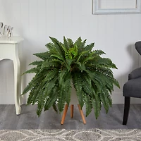 2.5ft. Boston Fern in White Planter with Legs