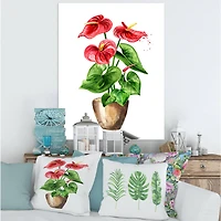 Designart - Anthurium Tailflower Or Flamingo Flower In The Pot