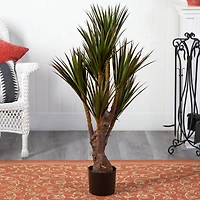 4ft. Potted Yucca Tree