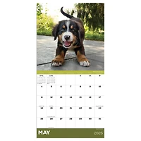TF Publishing 2025 Puppies Mini Calendar