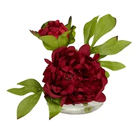 6" Assorted Peony in Glass Vase Set, 3ct.