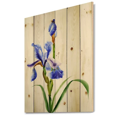 Designart - Retro Blue Iris Flower