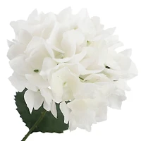 White Hydrangea Bush by Ashland®