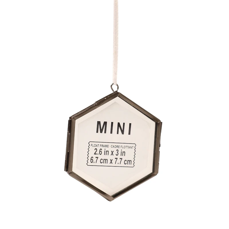 Mini Hexagon Float Frame by Studio Décor