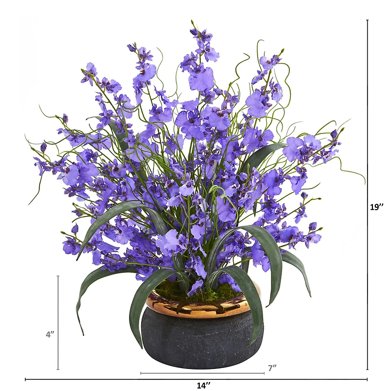 19" Dancing Lady Orchid in Black & Gold Vase