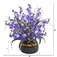 19" Dancing Lady Orchid in Black & Gold Vase