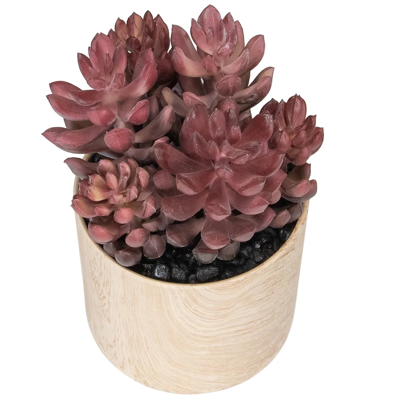 7" Purple Succulent in Faux Wood Pot