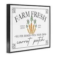 Stupell Industries Farm Fresh Carrot Patch Seasonal Springtime Vegetables Framed Giclee Art