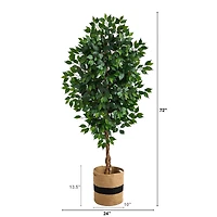 6ft. Ficus Artificial Tree with Natural Trunk in Handmade Natural Cotton Planter