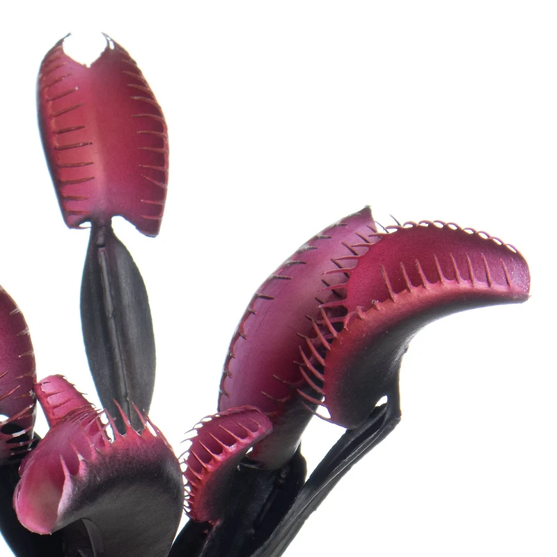 10.5" Black & Pink Venus Flytrap Bush by Ashland®