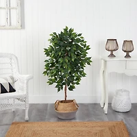 4ft. Ficus Artificial Tree in Boho Chic Handmade Cotton & Jute Gray Woven Planter
