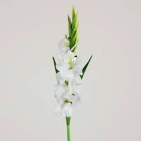 45" White Gladiolus Flower Stems, 3ct.
