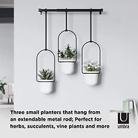 Umbra White & Black Triflora Hanging Planter Set