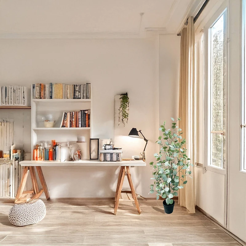 4ft. Potted Seeded Eucalyptus Tree by Ashland®