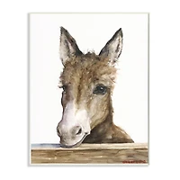 Stupell Industries Baby Donkey Portrait Adorable Farm Animal Wall Plaque
