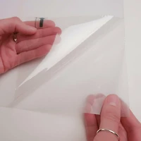 RoomMates Frosted Window Film