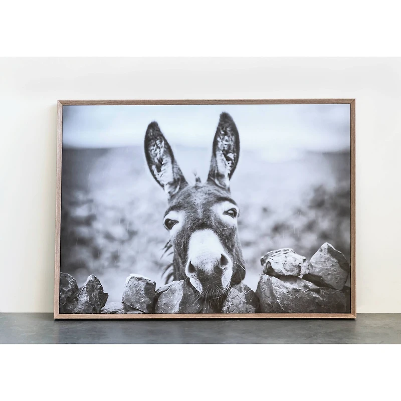 Hello Honey® Black & White Donkey on Canvas Wood Framed Wall Décor