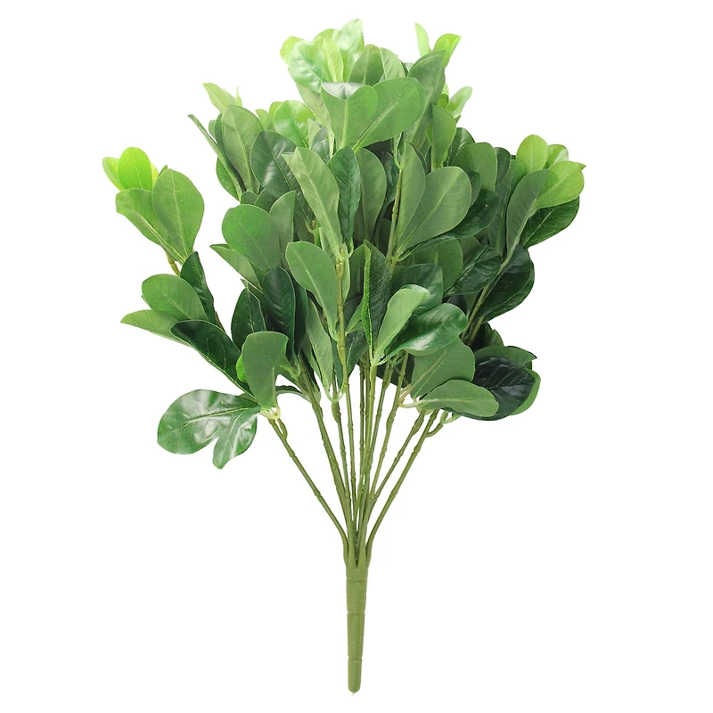 18" Green Two-Tone Polyscias Floral Bush