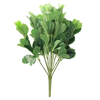 18" Green Two-Tone Polyscias Floral Bush