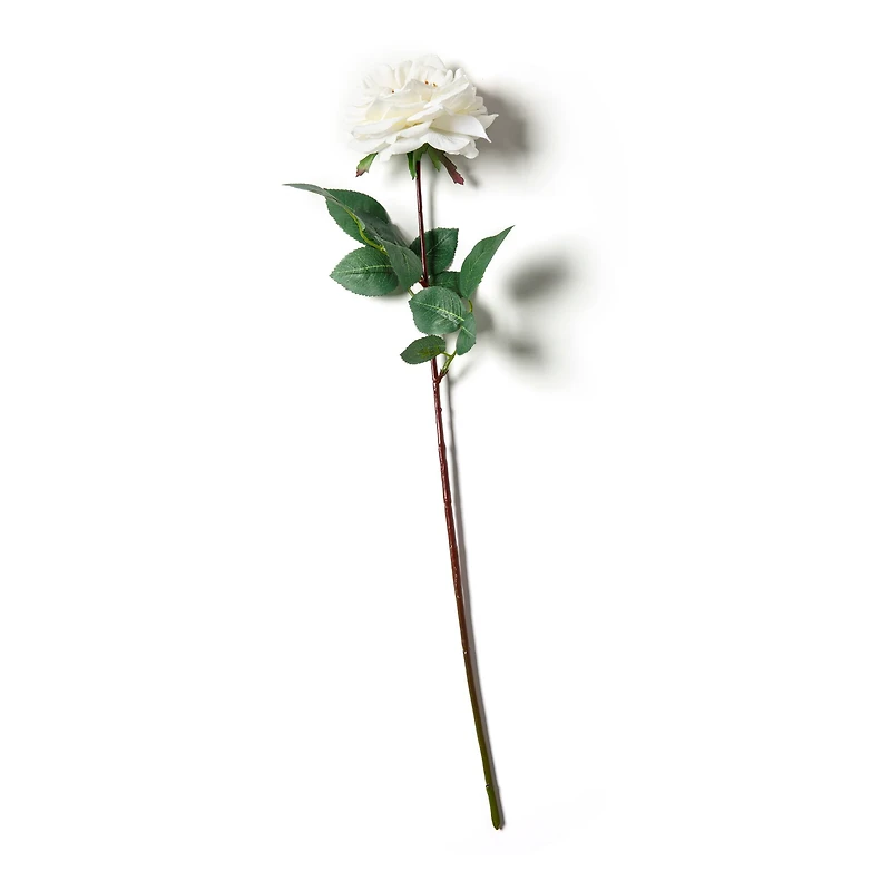 Orlane Rose Stem by Ashland®