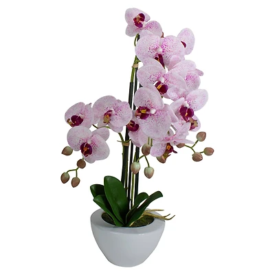 21" Pink & White Orchid Plant in White Pot