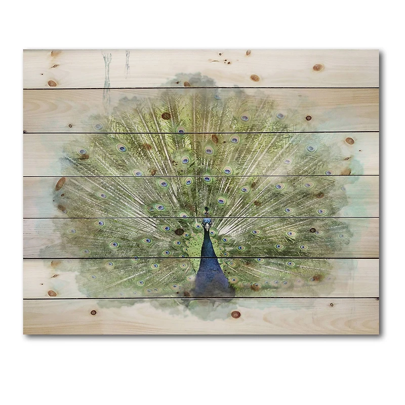Designart - Peacock Bird